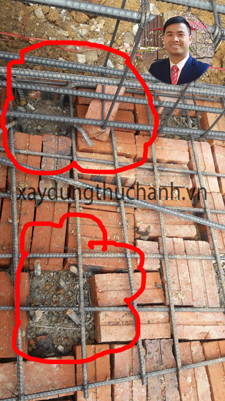 Thép râu đập đầu cọc